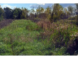 Property photo 41 - EHLE FARMS AUCTION - 118+/- ACRES IN 9 TRACTS IN ALLEN COUNTY, INDIANA